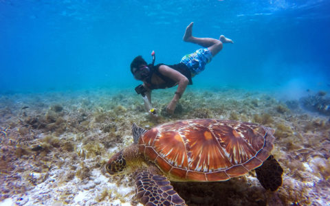 Snorkeling Spots in Guam